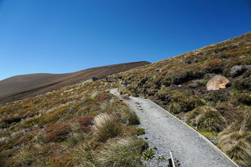 Tongariro, New Zealand - December 27, 2019 : People Trekking at Tongariro Alpine Crossing in New Zealand