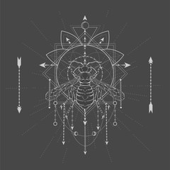 Vector illustration with hand drawn Wasp and Sacred geometric symbol on black background. Abstract mystic sign.