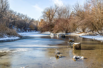 Wall Mural - Trees on the shore of a frozen lake in a city park. Landscape.