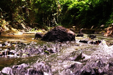 waterfall in the forest