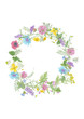 Watercolor hand drawn floral wreath with wild meadow flowers (clover, poppy, cornflower, tansy, chamomile) and grass isolated on white background