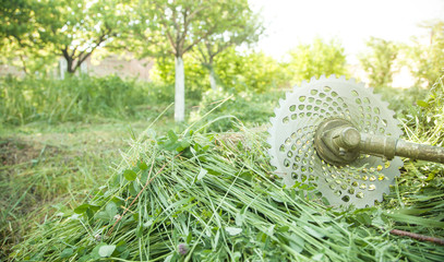 Wall Mural - Grass trimmer with a grass in the garden.