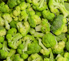 Healthy organic food raw green fresh broccoli