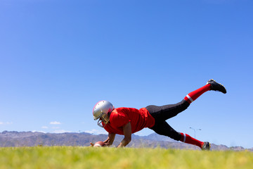 Wall Mural - Football player playing football