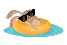 Funny Cartoon Illustration Of Rabbit On A Floating Tire