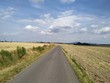 pola, rola, krajobraz, droga, Nowy Jaworów, Bolesławice