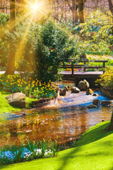 Spring landscape. Sun rays shining on a meadow flowers. garden in spring