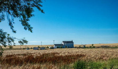 Wall Mural - California rural landscape. Fields and Old Wooden Barn