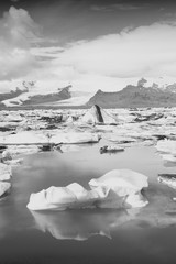 Sticker - Iceland ice lagoon. Black and white vintage toned photo.