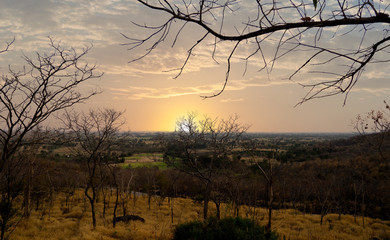 Aufkleber - sunset and trees without leave