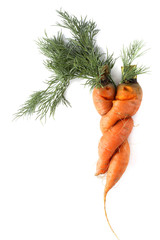 Canvas Print - Funny carrots couple