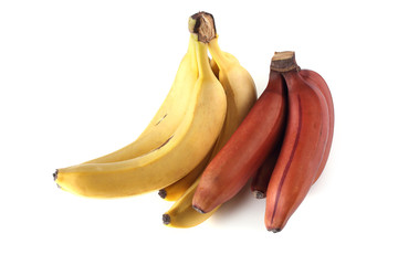 Sticker - Bananas and red bananas