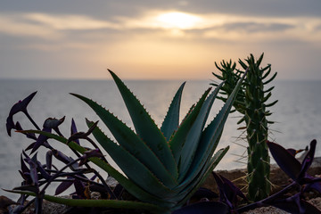 Poster - A sunset in Marsala Italy (Sicily)