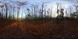 Fototapeta  - Autumn forest HDRI Panorama
