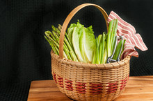 Front View, Close Distance Of A Straw Weaved Basket Of Freshly Cut Green Onions, Roman Lettuce, And Fresh Asparigus With Stainless Steel Cutters And A Red, White Striped Towel