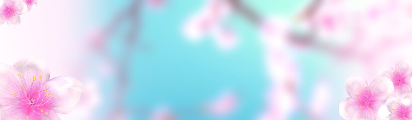 Wall Mural - panoramic sakura cherry blossoms 234x60 size website half banner background. 3D Illustration Clip-Art with Floral spring design and copy space in pink, white and turquoise