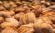 Bread buns assortment. Sourdough bread rolls mix. Healthy food