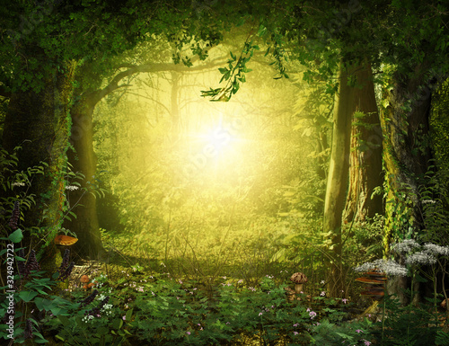 Beautiful enchanting fairy tale lush woodland, 3d render. Poster Mural XXL