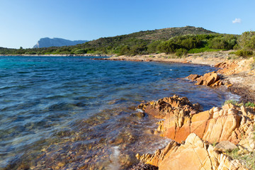 Wall Mural - stony coast line of Sardinia island, Tyrrhenian coast, Italy