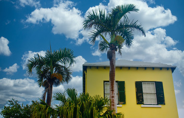 Wall Mural - A yellow and green stucco home under palm trees in Bermuda