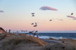 Seagulls flying at sunset - Cape Cod