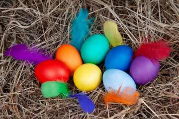 Multicolored eggs with colorful feathers in a nest with a note mock up, top view. Concept easter.