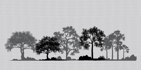 tree of life. vector of tree silhouette. red maple ,sugar maple, oak, poplar, green oak, birch, tree