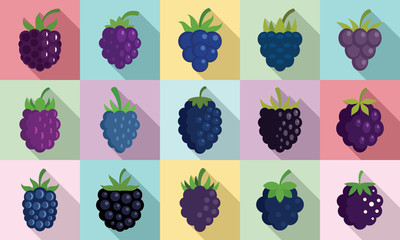 Poster - Blackberry icons set. Flat set of blackberry vector icons for web design