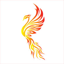 Fire Bird Phoenix Logo Vector Illustration