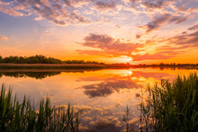 Scenic View Of Beautiful Sunset Or Sunrise Above The Pond Or Lake At Spring Or Early Summer Evening With Cloudy Sky Background And Reed Grass At Foreground. Landscape. Water Reflection.