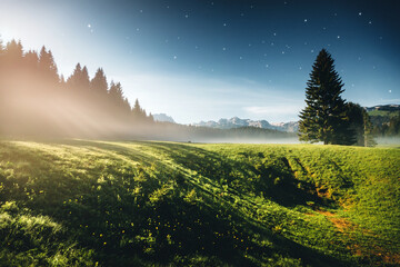 Wall Mural - misty summer night in the durmitor national park. location montenegro, europe.