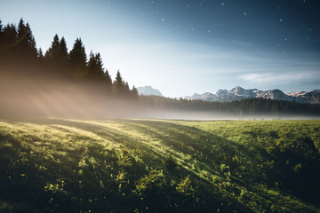 Wall Mural - misty summer night in the durmitor national park. location montenegro, europe.