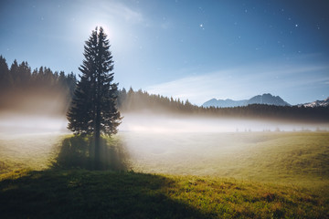 Wall Mural - misty summer night in the durmitor national park. location montenegro, europe.