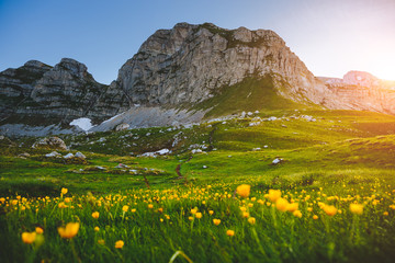 Fotobehang - Idyllic summer day in the Durmitor National park. Location place Sedlo pass, Montenegro.