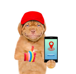 Aufkleber - Smiling puppy wearing a red cap holds smartphone with tracking symbol and shows thumbs up. Tracking concept. Isolated on white background