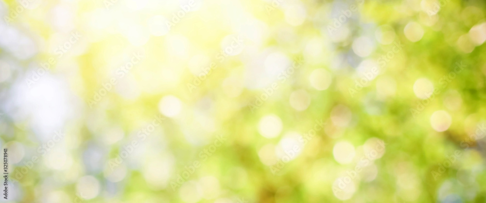 Green leaf background Blurred leaves, circular bokeh, abstract from beautiful leaves, green nature concepts and for design images and computer screens. - obrazy, fototapety, plakaty 