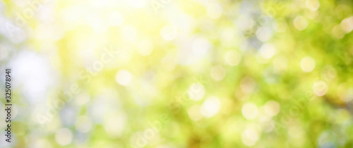 Fotomural Green leaf background Blurred leaves, circular bokeh, abstract from beautiful leaves, green nature concepts and for design images and computer screens