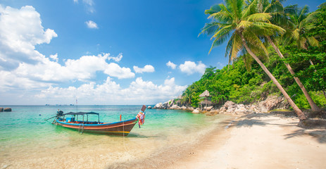 Wall Mural - tropical beach with coconut palm and longtail boat