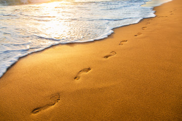 Wall Mural - beach, wave and footprints at sunset time