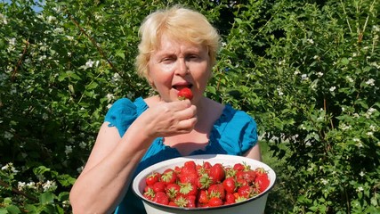 Wall Mural - woman eats strawberries from big plate on green bush background outdoors