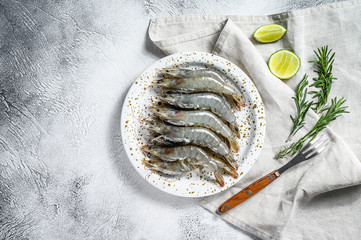 Wall Mural - Fresh raw tiger prawns, shrimps and spices on a white plate. Gray background. Top view. Copy space