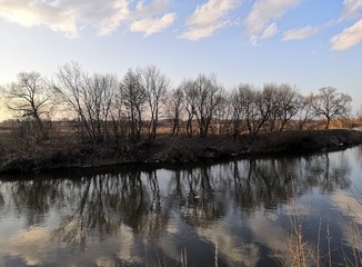 reflection of trees in water