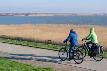 Sports and active pensioners husband and wife travel bicycles in nature against the background of a spring landscape in Nature reservation Oostvaardersplassen in Almere, Flevoland, The Netherlands.