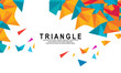 © Devstock - Triangle Background Elegant