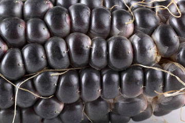 Canvas Print - Black corn background