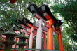 japanese gates