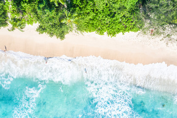 Wall Mural - Seychelles beach aerial photo from above Mahé Mahe island nature vacation paradise ocean drone view