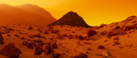Wall Mural - a stony desert on the red planet mars (3d rendering)