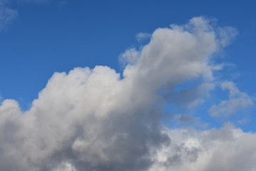 Poster - blue sky with clouds