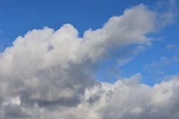 Poster - blue sky with clouds